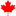 maple leaf icon