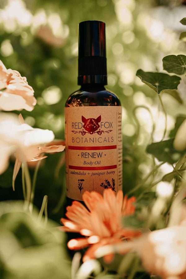 renew body oil by red fox botanicals