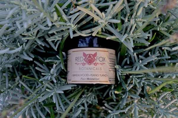 image of the sandalwood ylang exotic face cream product
